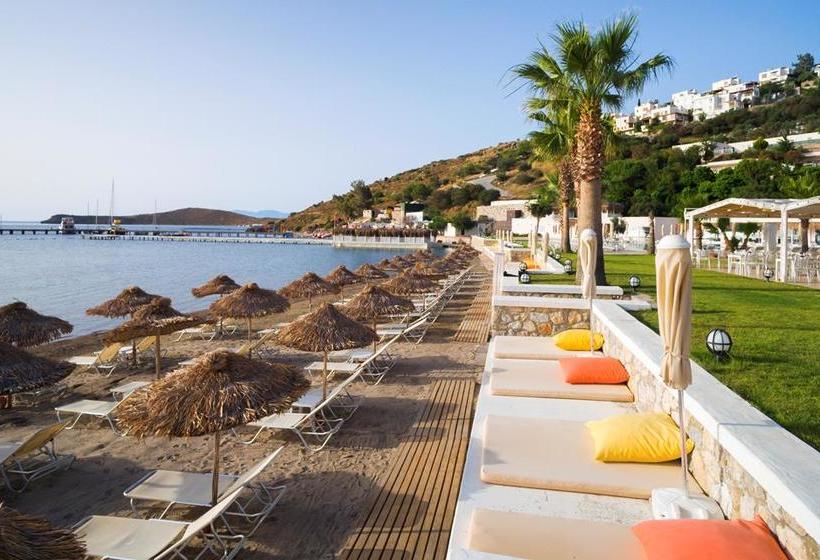 호텔 Club Sardinia