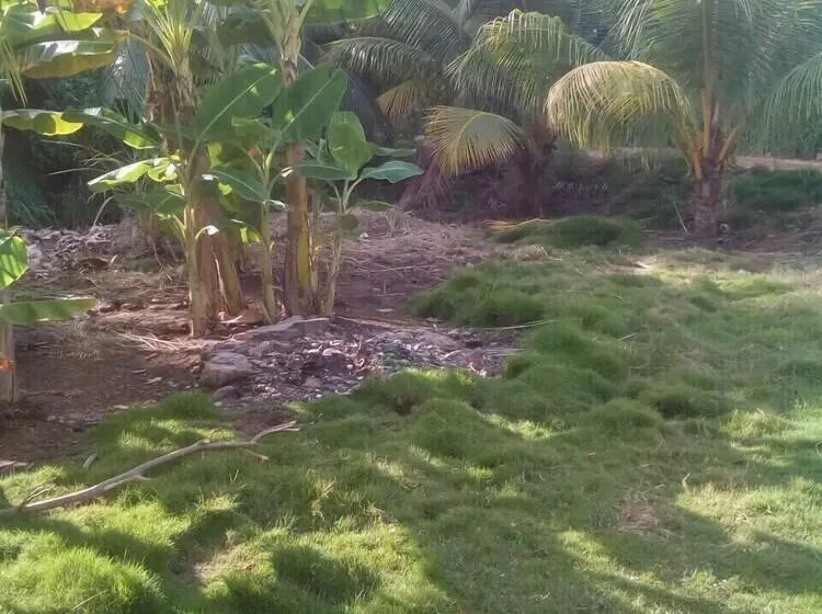 هتل G's Place