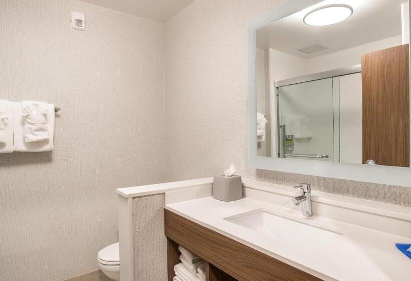 Hotel Holiday Inn Express & Suites Racine, An Ihg