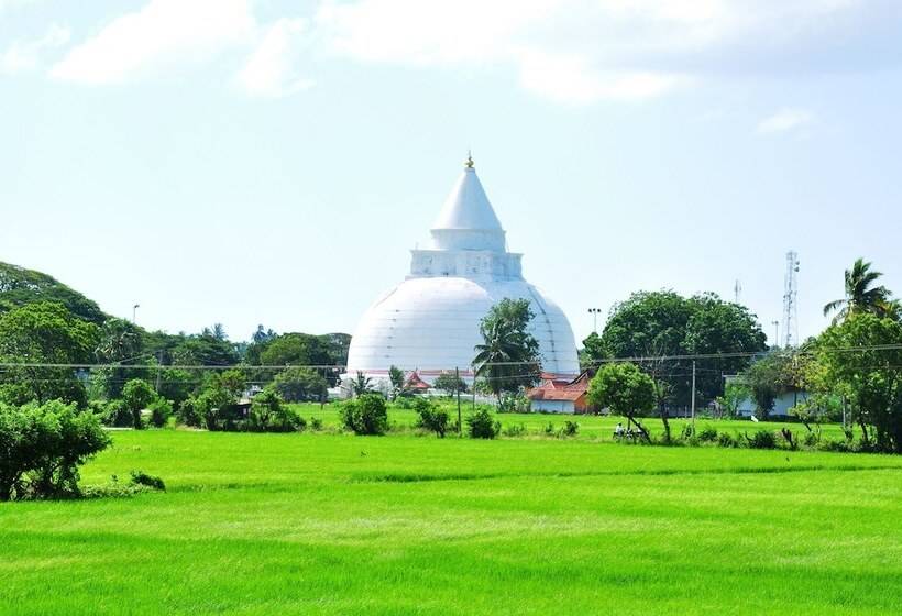 فندق Leopard City Hostel