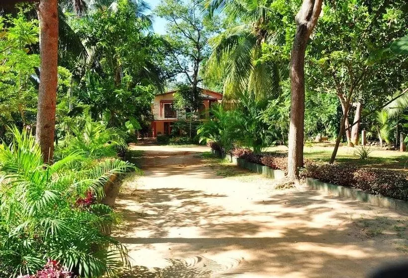 Hotelli Leopard City Hostel