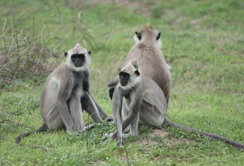فندق Leopard City Hostel
