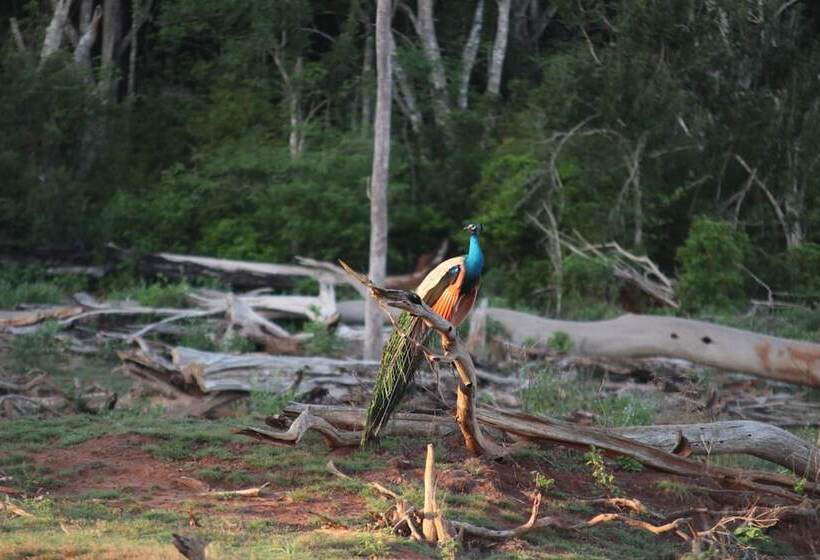 فندق Leopard City Hostel