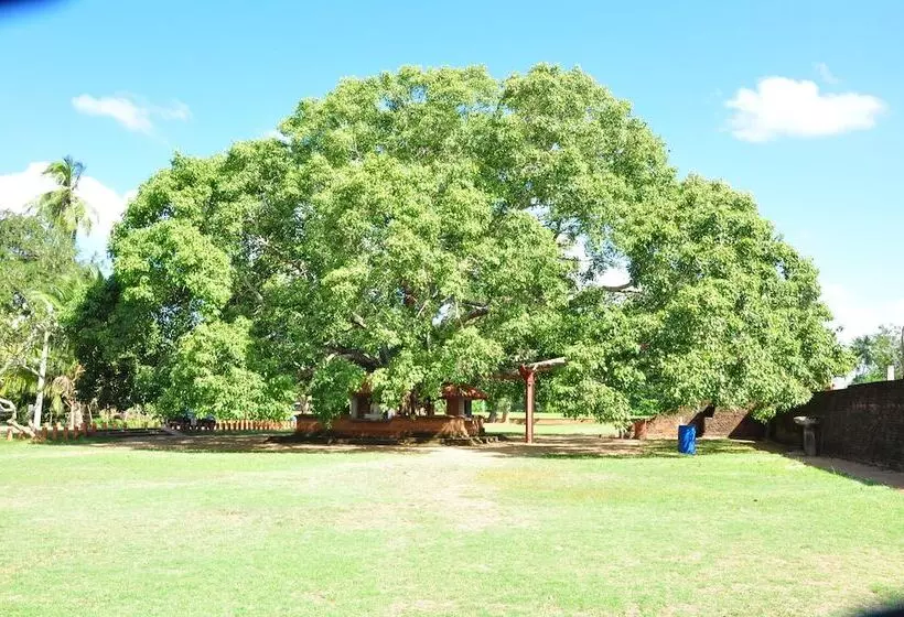 Hotelli Leopard City Hostel