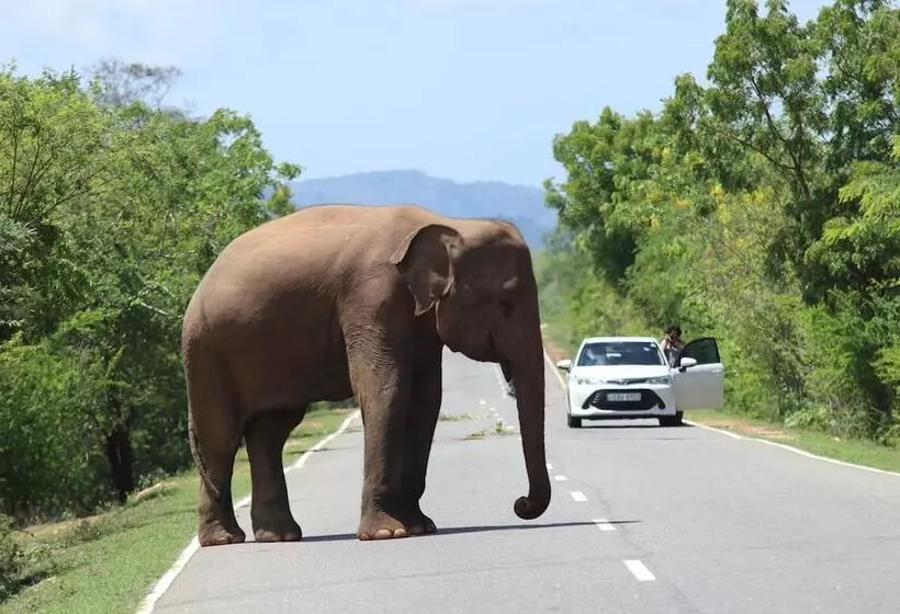 Hotelli Leopard City Hostel