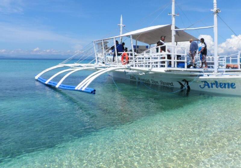 酒店 Little Mermaid Dive Resort