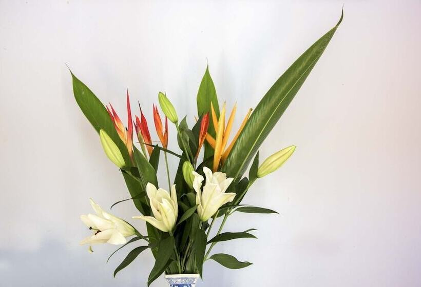 ホテル Ninderry Manor Luxury Retreat