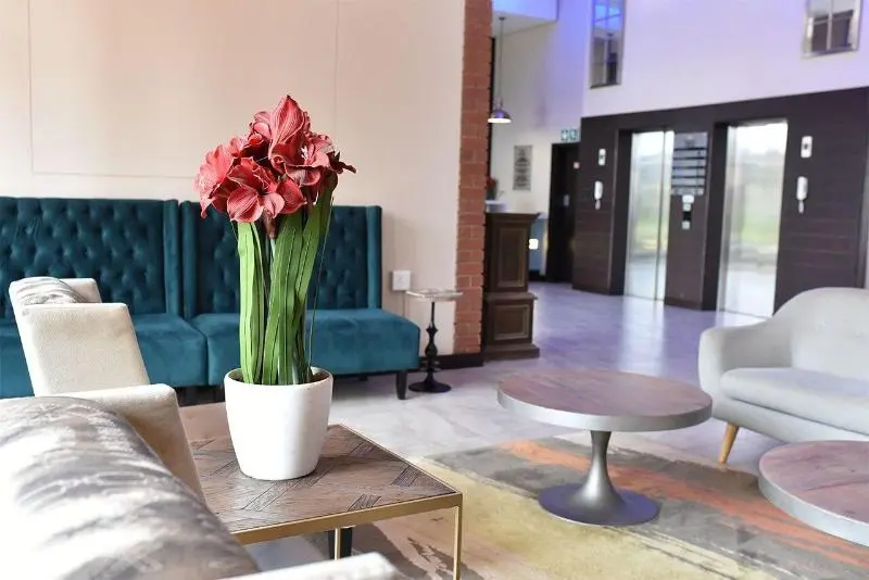 ホテル Regal Inn Umhlanga Gateway