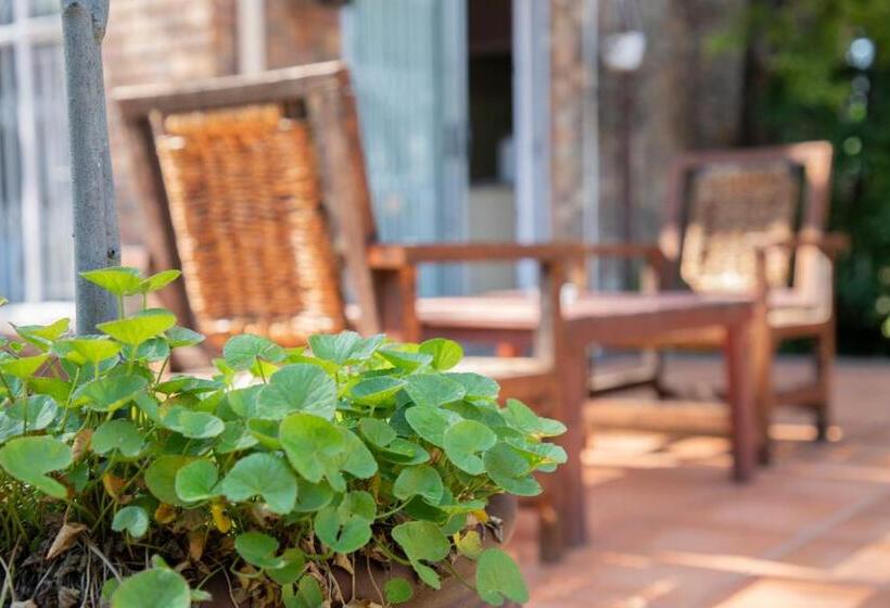 Отель Serene Guest Manor