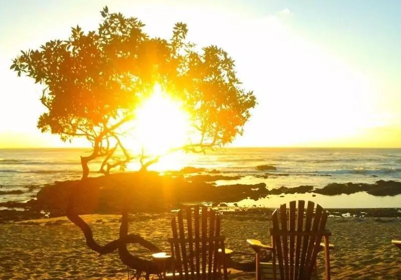 Hotelli Sueno Del Mar Beachfront