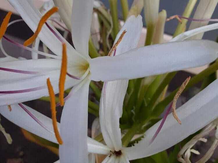 فندق Sun1 Durban