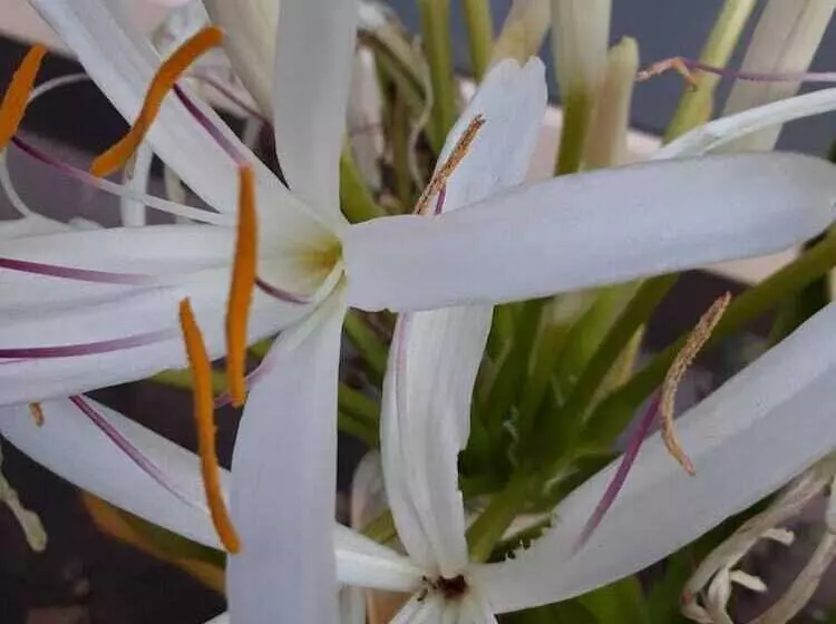 ホテル Sun1 Durban