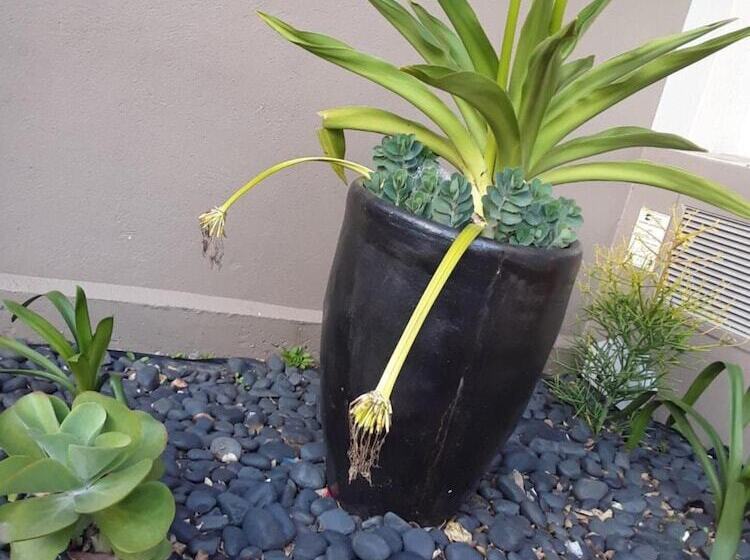 فندق Sun1 Durban