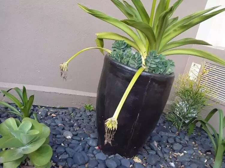 ホテル Sun1 Durban