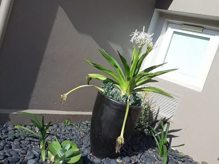 فندق Sun1 Durban