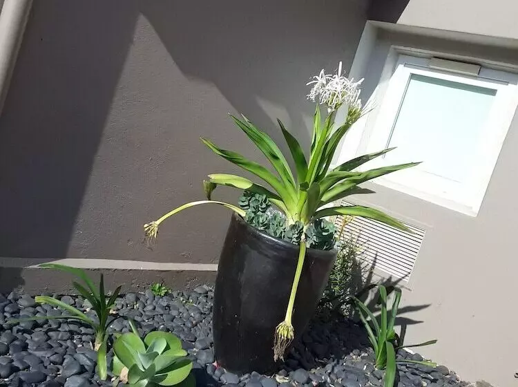 ホテル Sun1 Durban