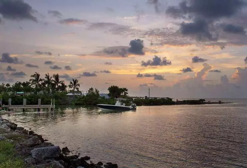 ホテル Hampton Inn Marathon   Florida Keys