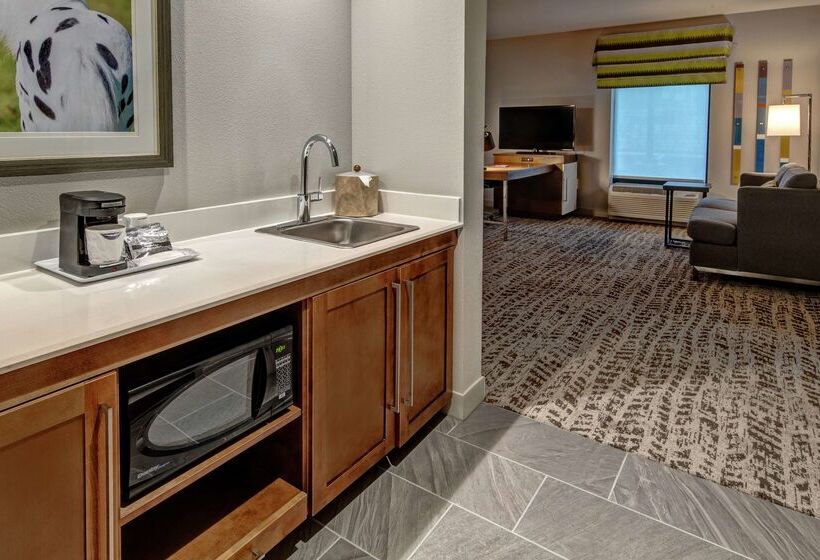 호텔 Hampton Inn & Suites Nashville/goodlettsville