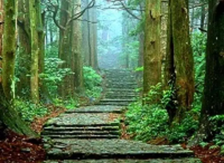 ホテル Pal’s Inn Katsuura