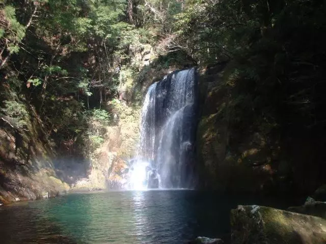 ホテル Pal’s Inn Katsuura