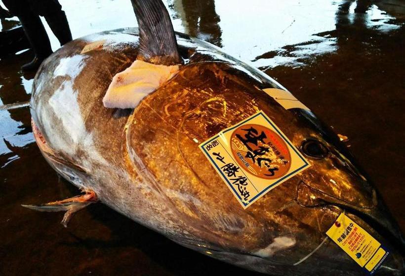 فندق Pal’s Inn Katsuura