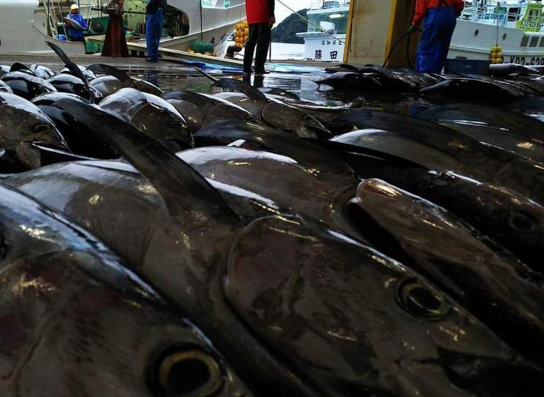 فندق Pal’s Inn Katsuura