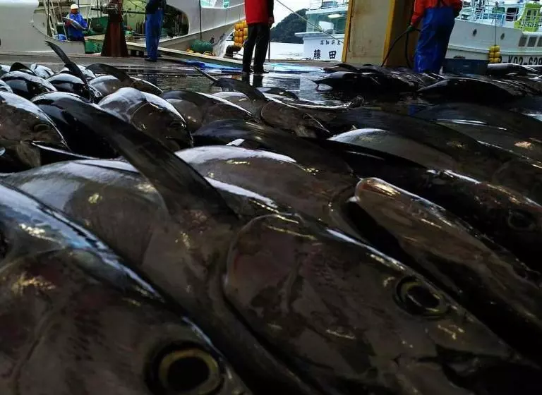 ホテル Pal’s Inn Katsuura