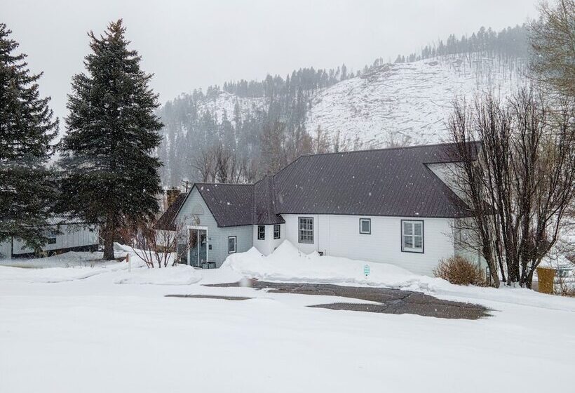 酒店 Antlers On The Creek Bed & Breakfast