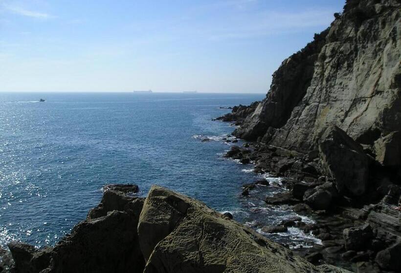 هتل Houston Livorno   Struttura Esclusivamente Turistica   Not For Business Or Workers