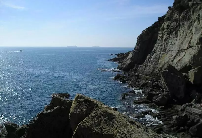 هتل Houston Livorno   Struttura Esclusivamente Turistica   Not For Business Or Workers