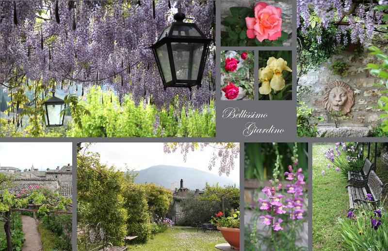 فندق Palazzo Minciotti