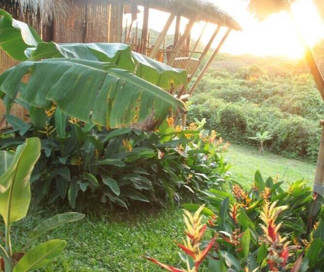 Отель Phuree Hut