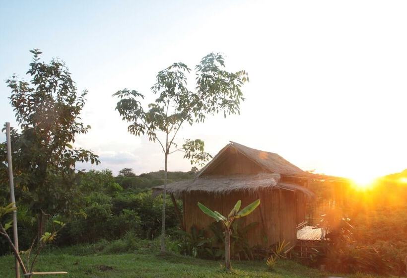 Отель Phuree Hut