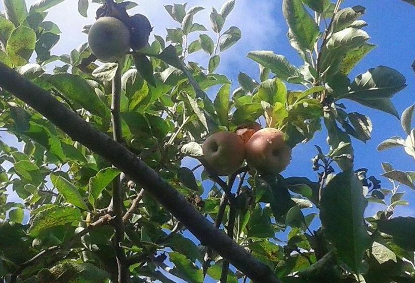 هتل Villa Lucia Affitta Camere