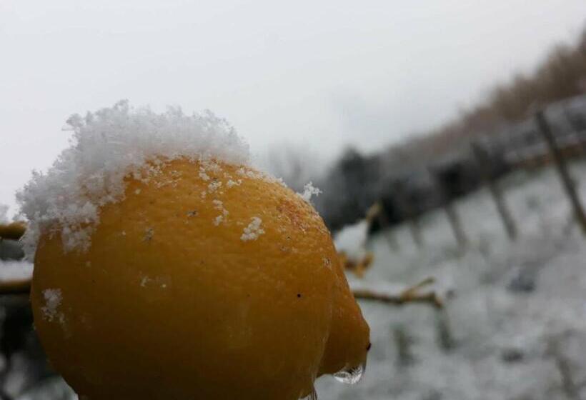 هتل Villa Lucia Affitta Camere