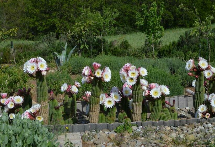 Отель B&b Villa Lavanda