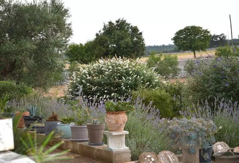ホテル B&b Villa Lavanda
