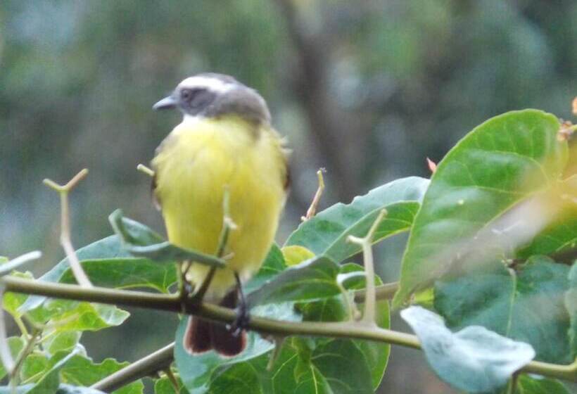 Hotel Pousada Villa Dos Quilombolas