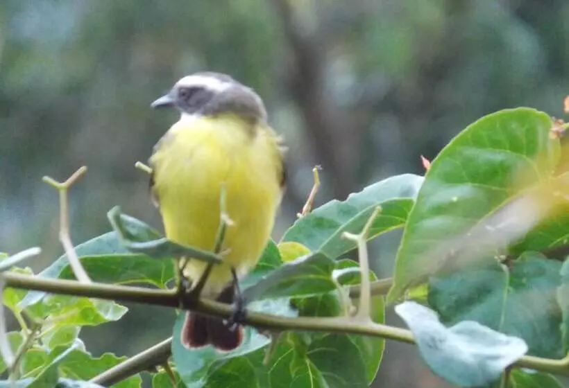 ホテル Pousada Villa Dos Quilombolas