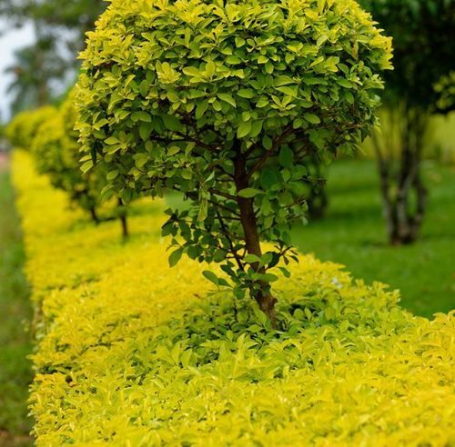 هتل Source Of The Smile