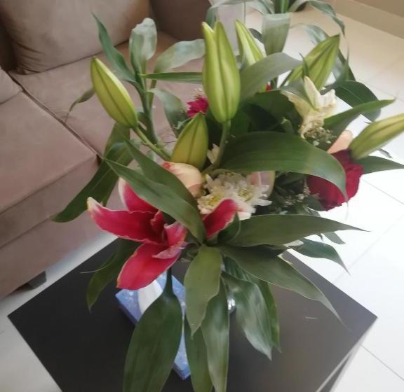 فندق Danar  Apartments 4