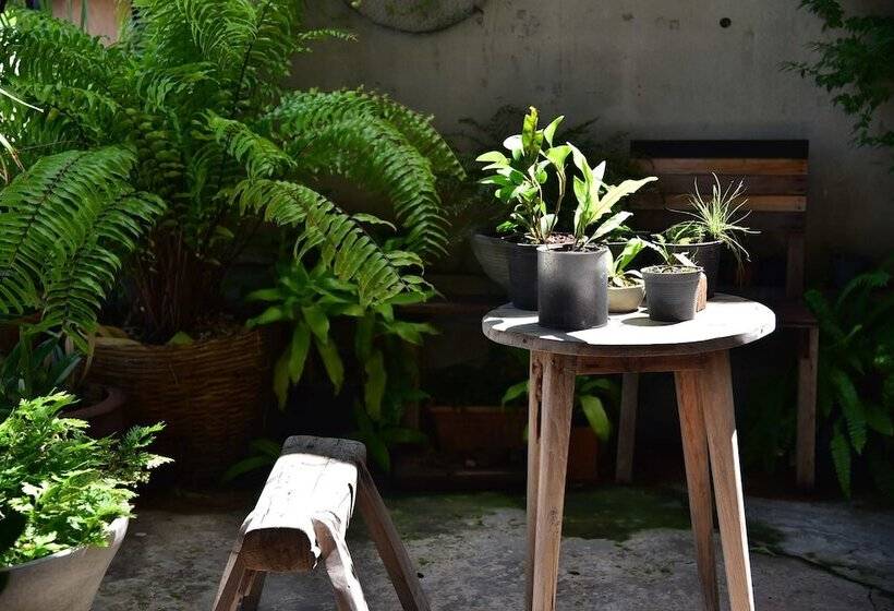 Hotel Hosts Huahin Hostel