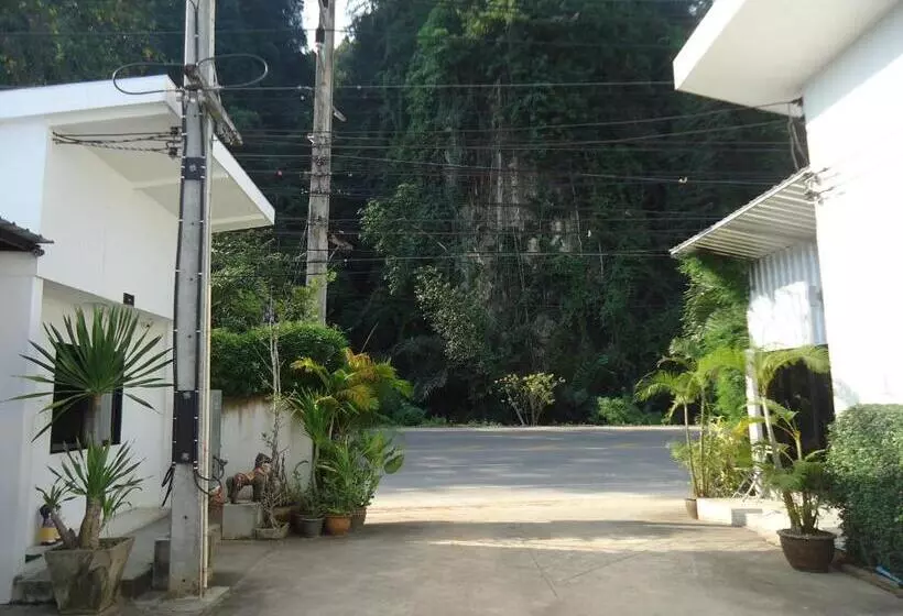 هتل Pine Home