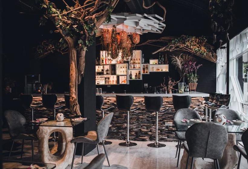 Fotos del hotel Rock:  2