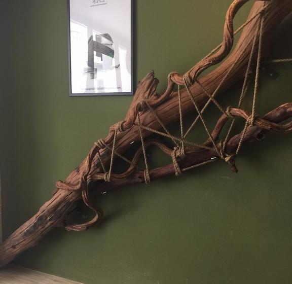 Fotos del hotel Rock:  4