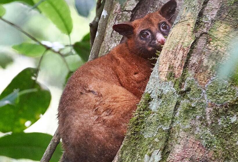 Отель Sharlynn By The River