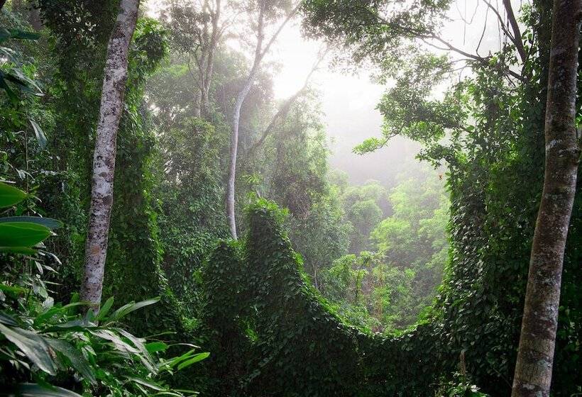 Отель Sharlynn By The River