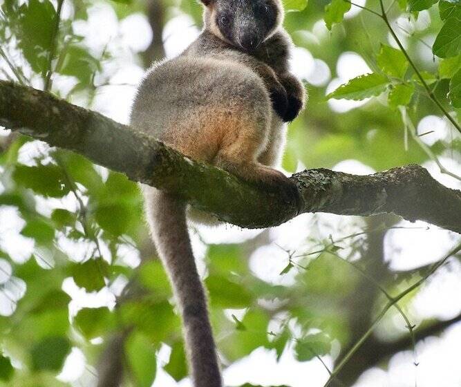 Отель Sharlynn By The River