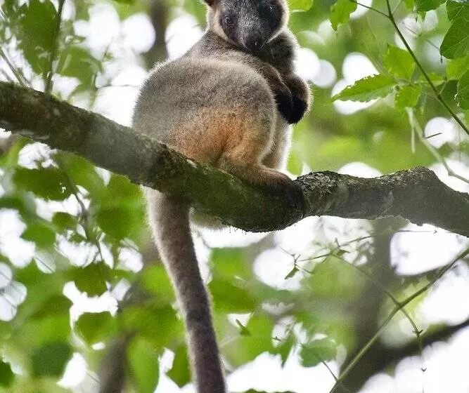 Hotelli Sharlynn By The River