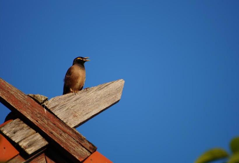 فندق Thai Dee Garden Resort